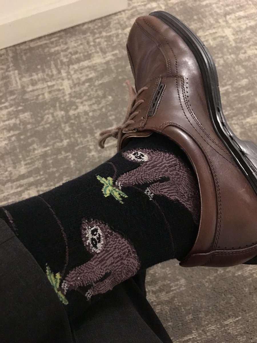 WaymanDataUse's tweet photo. Ok, who at #aera19 is wearing their #slothsocks? https://t.co/huIp5husp7