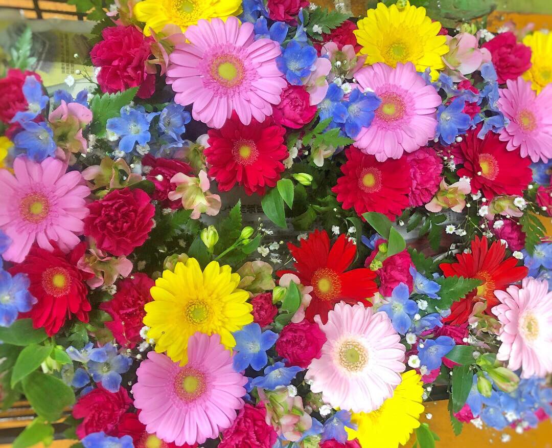 黒沢生花店 入学式の教室に飾る フラワーアレンジメント 尼崎市 立花駅 立花市場 花屋 黒沢生花店 入学式花 フラワーアレンジメント ガーベラ アルストロメリア スプレーカーネーション スターチス かすみ草 レザーファン デルフィニウム