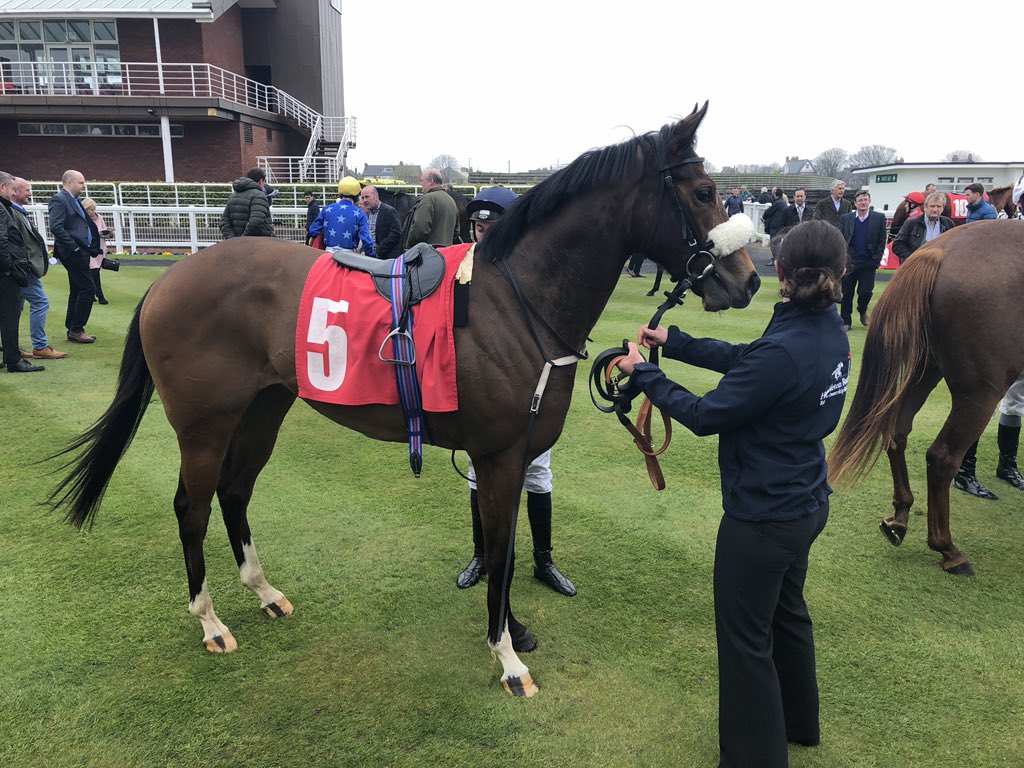 Doon1976's tweet photo. Educational first race, will have learnt a lot and a good start to her racing career 
#Mavis
#FlightOfThunder https://t.co/UFOynd008A