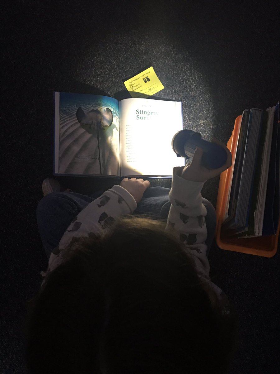 hamlinpop's tweet photo. 2nd graders celebrating their latest 50 Viking Validations with “Flashlight Reading.”  It’s soooo quiet! My ❤️ is happy! @VoigtAIA_RRISD #vikingsgotheart https://t.co/5xxztllKNE