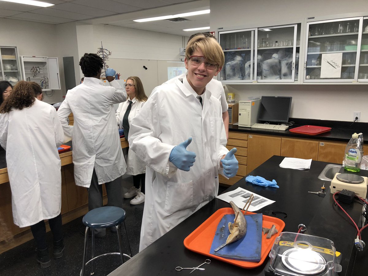 trollwag's tweet photo. Dissection day at @LakefieldCS. #LCSBio https://t.co/y3p15egio8