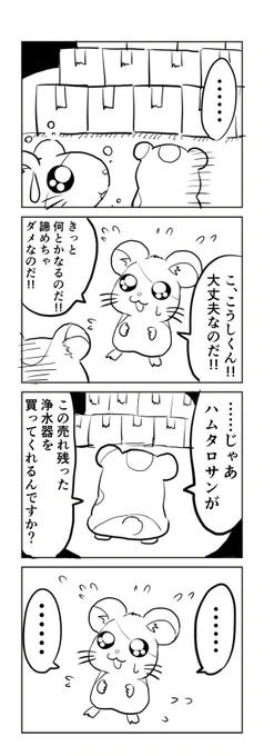 適当なことを言うハム太郎 