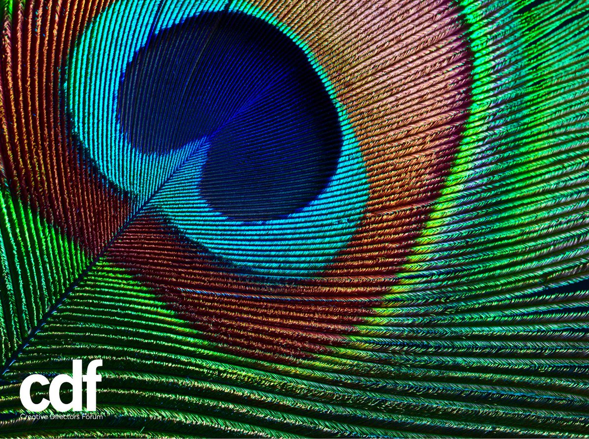 Wake up creative beast, its time to make beauty
#creativelife #creatingbeauty