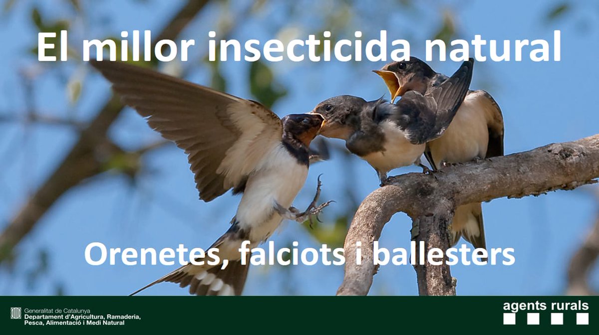 Agents Rurals tweet media