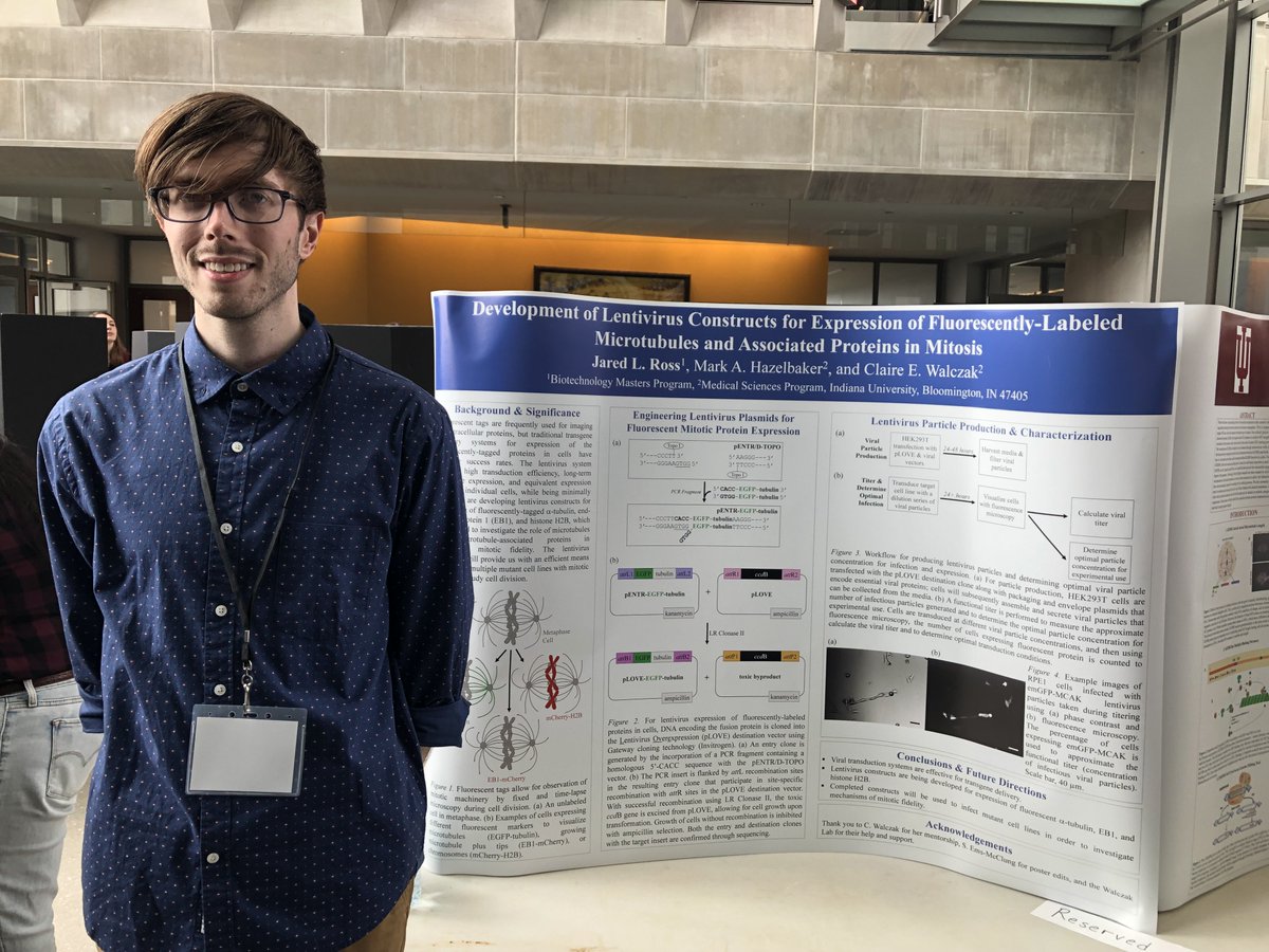 WalczakLab_IU's tweet photo. Go Team Walczak at the Hutton Honors College Research Symposium https://t.co/Iecj1Hg9Jw