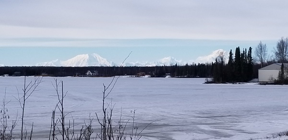 VeinsAlaska's tweet photo. Great view day for Willowites!! https://t.co/kCvzHjmMk2