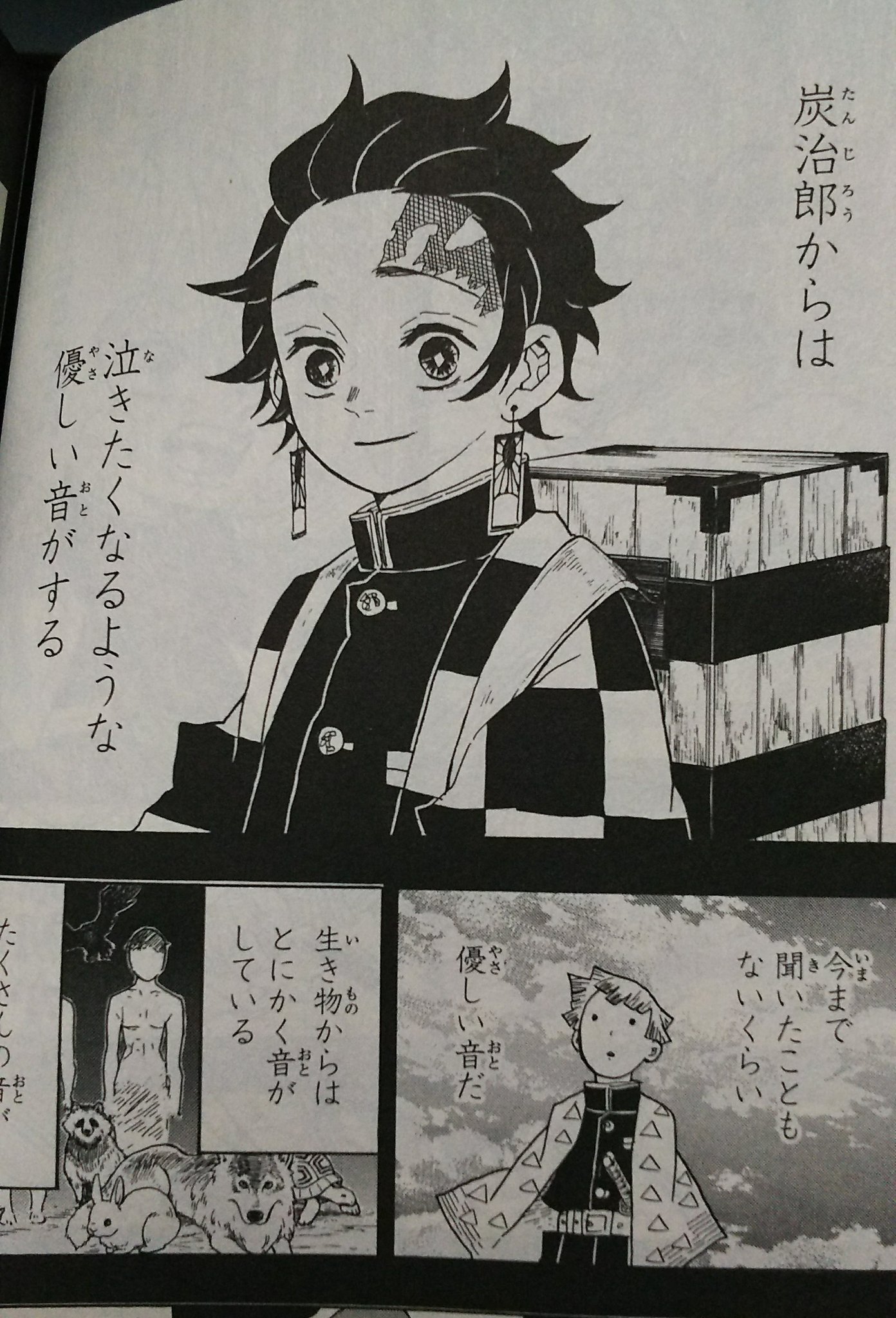 つべり Auf Twitter 善逸がさぁ炭治郎の音を 泣きたくなるような優しい音がする って言ってるとこほんとすこだし泣く