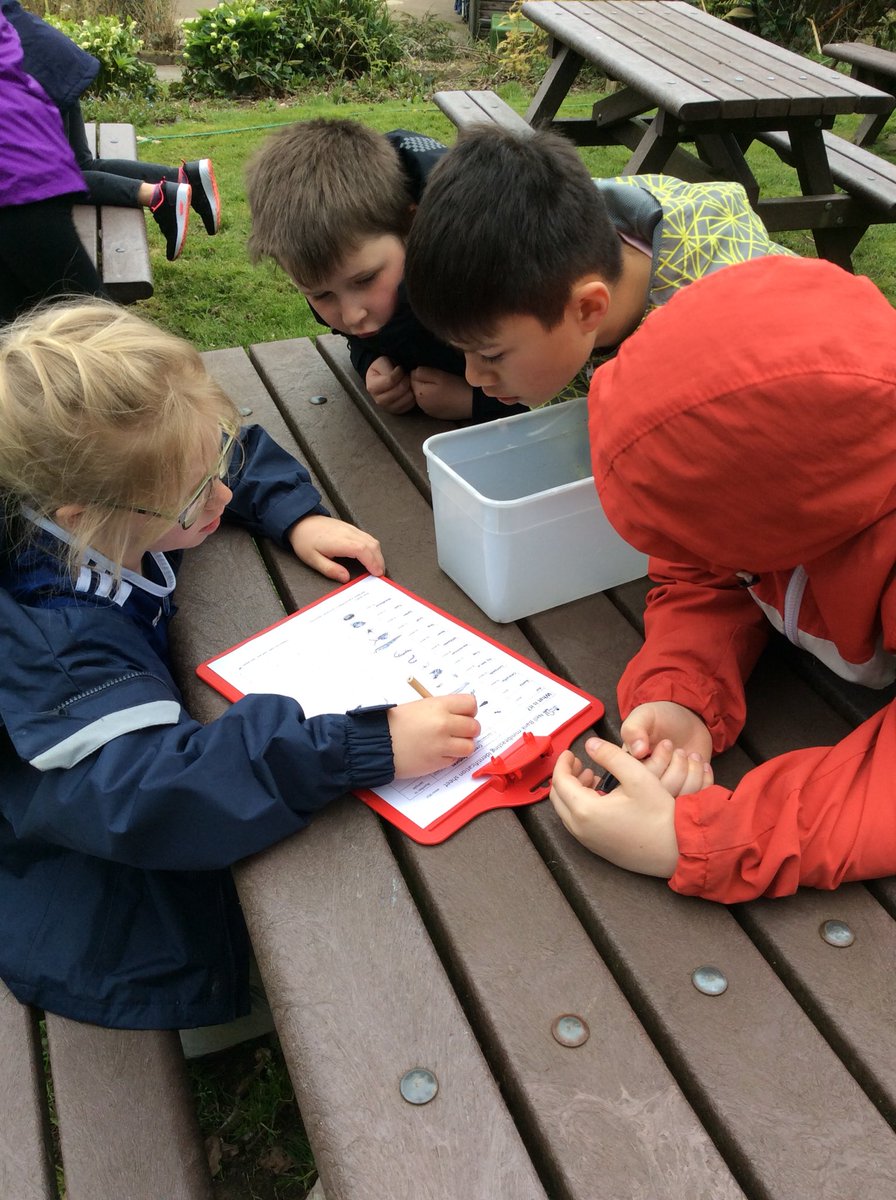 blakehillschool's tweet photo. With the hunt over, itโs now time to identify what we have found. #howmanylegs https://t.co/9hLVRST7aO