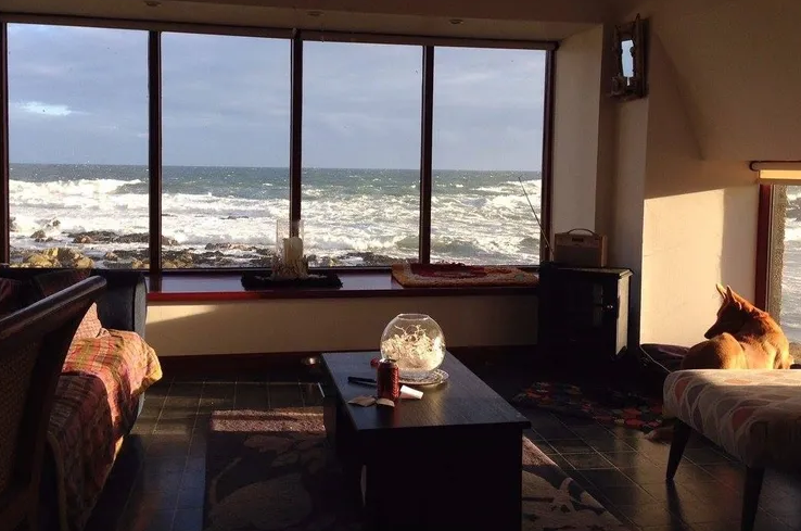 WeAcceptPets's tweet photo. Embrace the #Scottish #coastalscenery at the @seafrontcottags. This #holidayhome really does live up to its nickname "Pew with a View". You may even spot a dolphin or a minky whale passing by!

Accepts 🐶🐱 
https://t.co/BPzUL8cjGx

#SelfCatering #PetFriendly #Staycation https://t.co/bOMlvitFl8