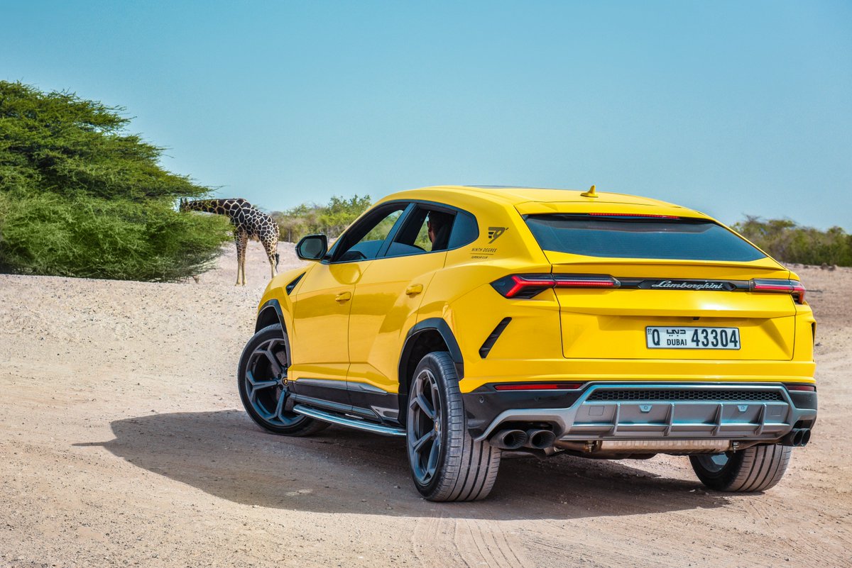 LamborghiniUAE1's tweet image. Unique style and perfect design, surrounded by natural beauty. Exploring Sir Bani Yas Island with the Lamborghini #Urus. #SinceWeMadeItPossible #LamborghiniDubai #LamborghiniAbuDhabi