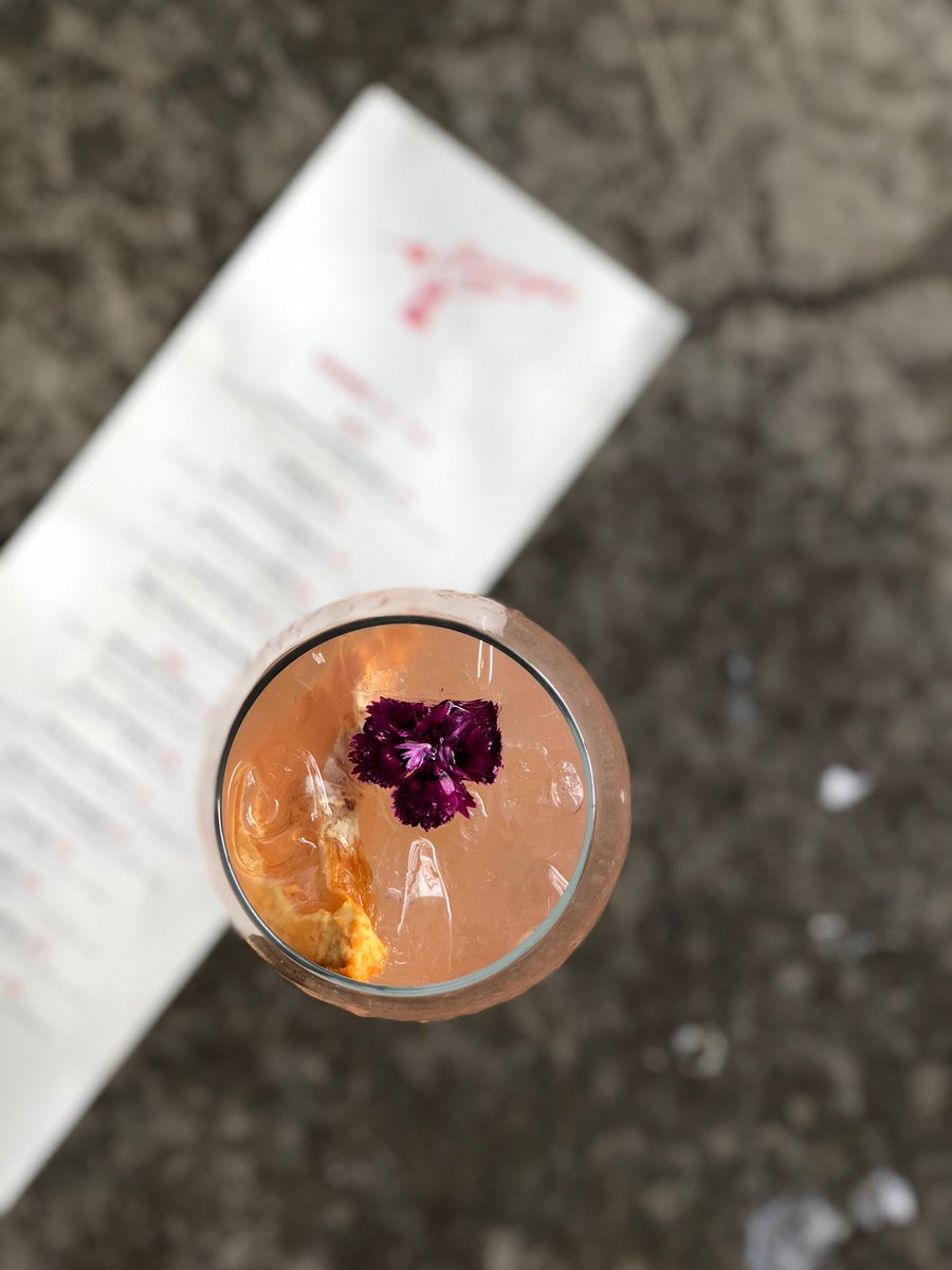 Hummingbird Raleigh tweet media