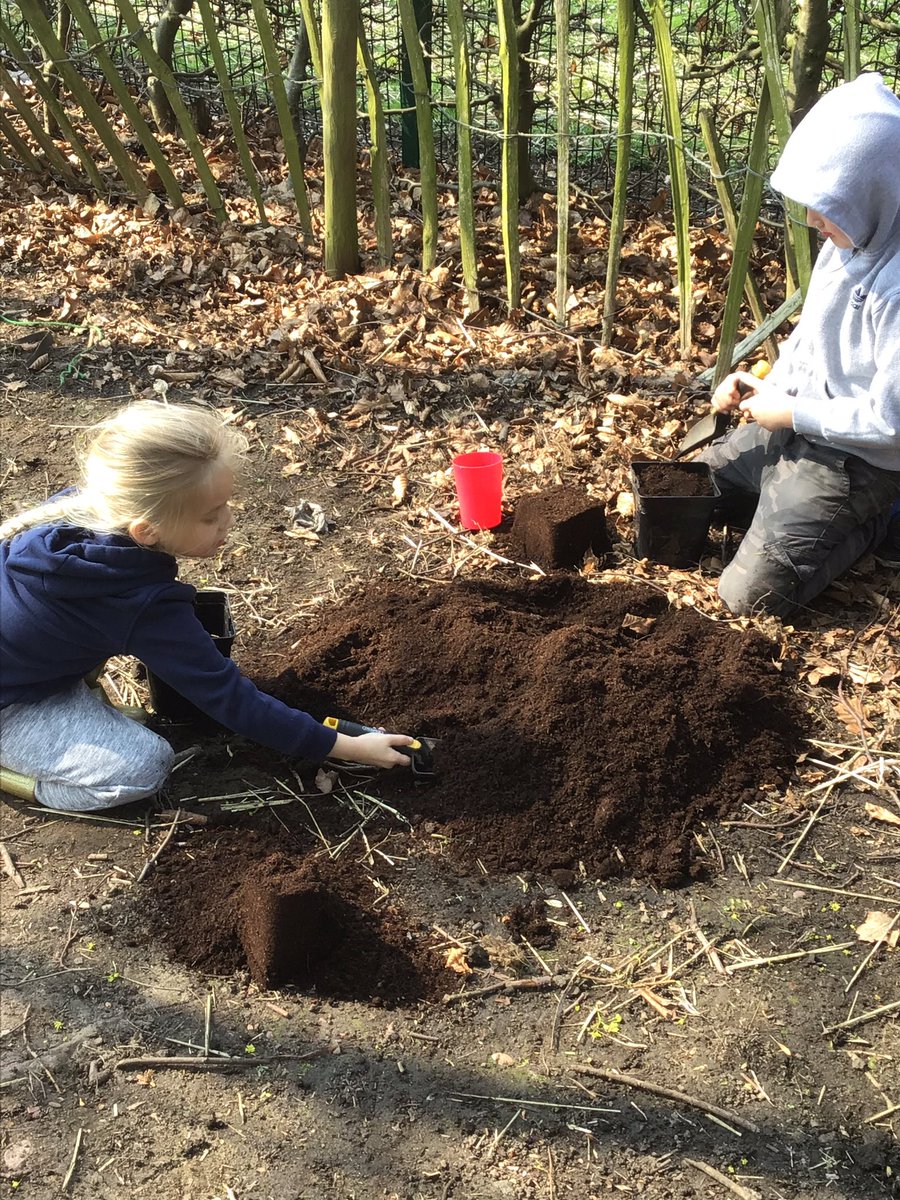 CooksterDebbie's tweet photo. Making mud castles, building, drumming... it all goes on @RowParkAcademy #forestschool https://t.co/Mj31rONPK5