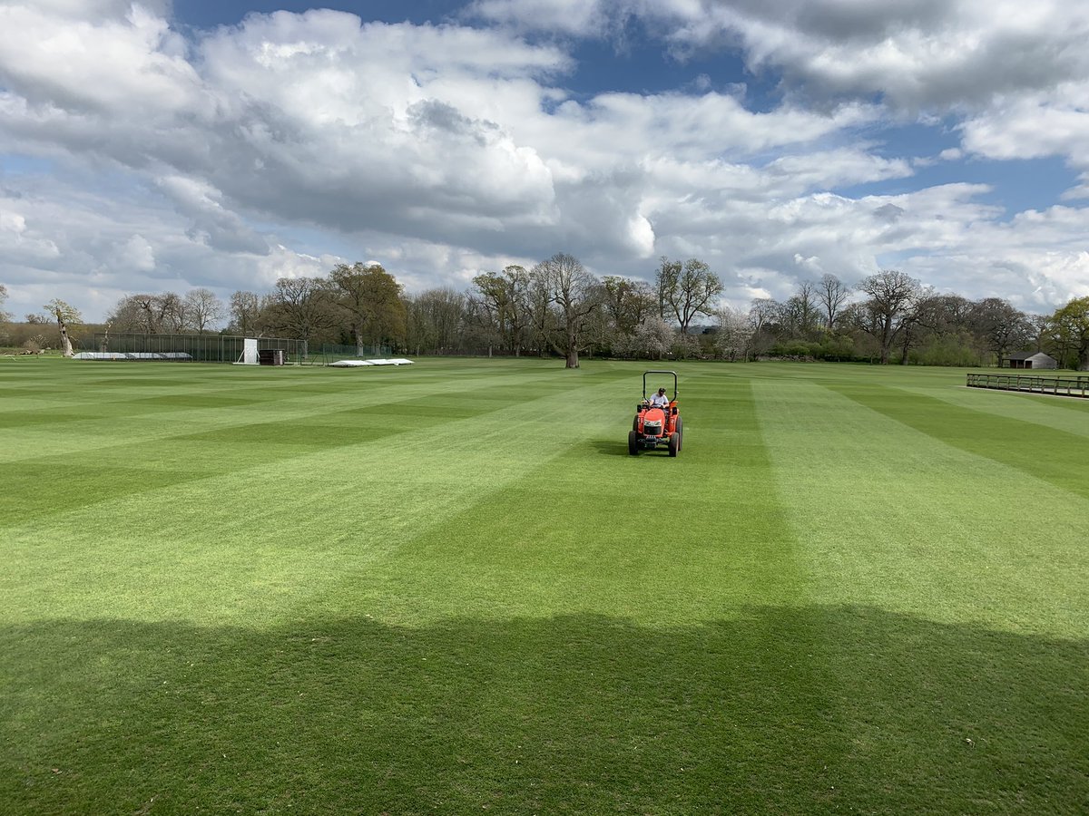 kitts81's tweet photo. All double cut with the old girl. Outfield cut and fed. #h-cote #buffalo34 @AllettMowers @HeadlandAmenity @ah71head https://t.co/IBkQRvjyy7