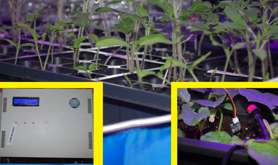arduino's tweet photo. Automate your indoor greenhouse with Arduino: https://t.co/MoQkHUCjAP https://t.co/JSDrHPhjVP