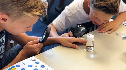 Gezocht: vrijwilligers voor het geven van waterlessen! 
Lijkt het je leuk kinderen te leren hoe belangrijk schoon water is? Word je blij vankinderen die tijdens jouw les aan de slag gaat als onderzoekende waterexperts? Dan zijn wij op zoek naar jou!
vechtstromen.nl/actueel/nieuws…