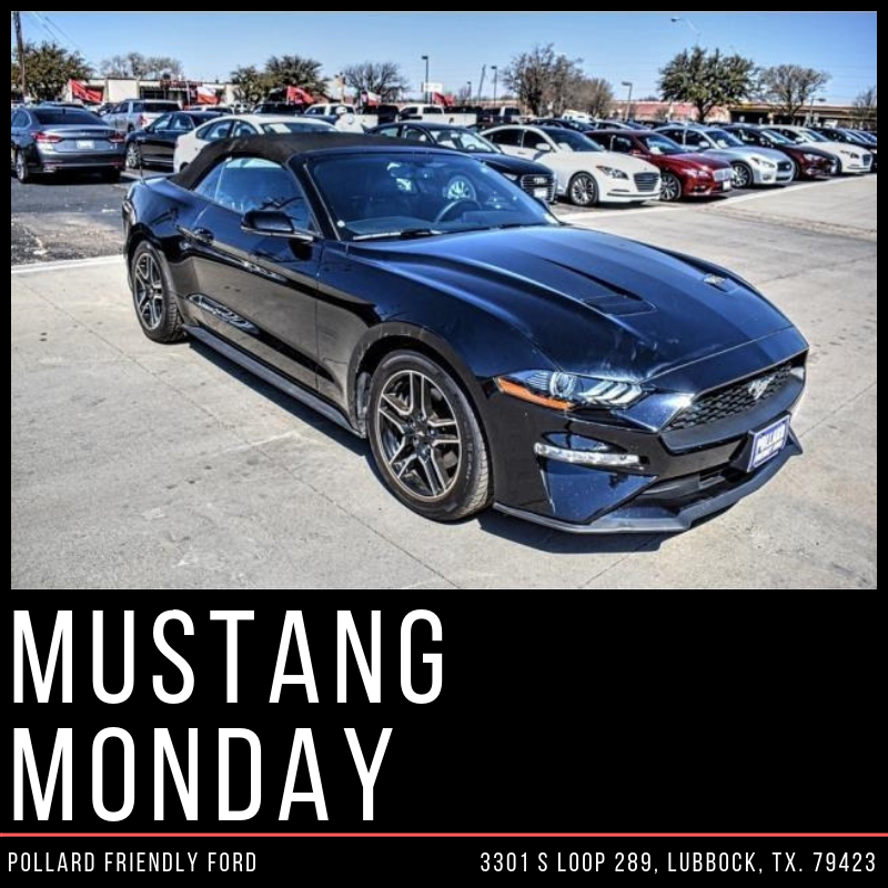 pollardfordlbk's tweet photo. #MustangMonday: Start your week off the right way! Get behind the wheel of this 2018 #Ford #Mustang Ecoboost Convertible. Details: https://t.co/fi8d7TE8iO #Texas #PollardFord https://t.co/JkVe3rLlFl