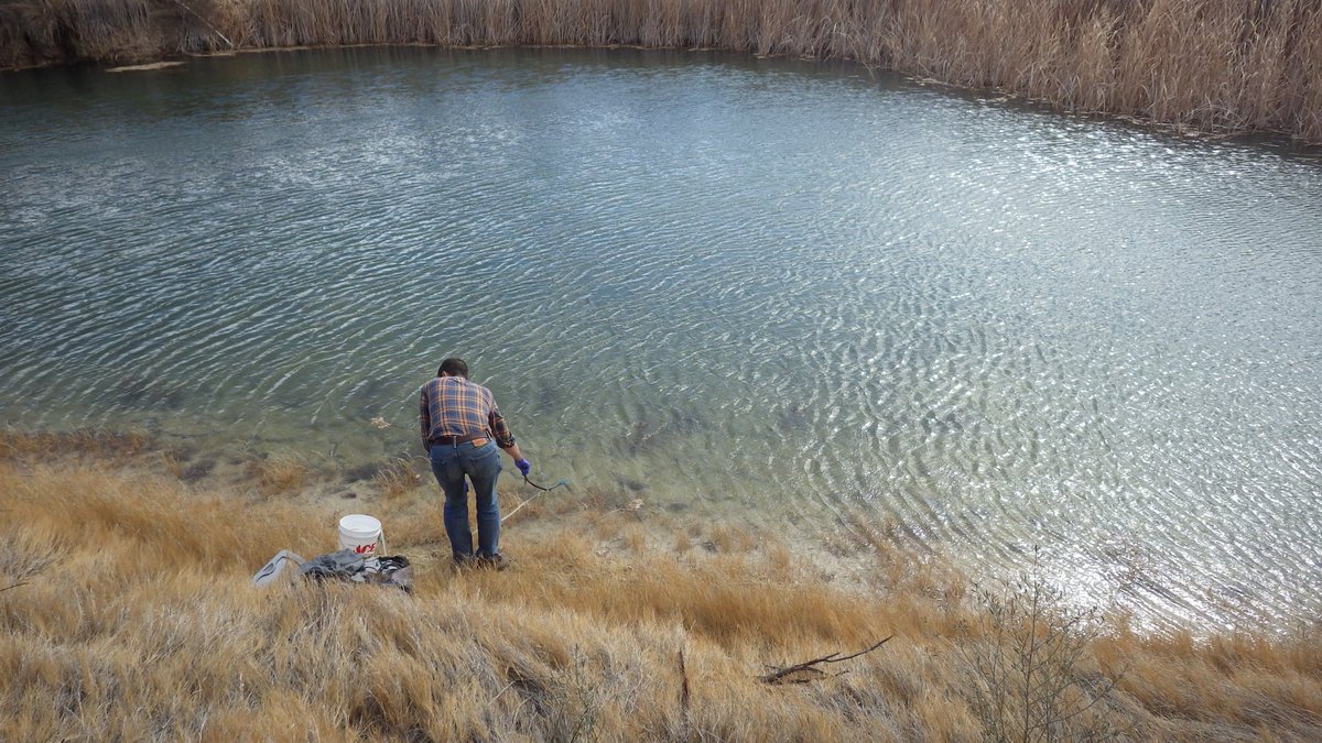 SERDP_ESTCP's tweet image. Action shots from @ArmyERDC! See Taylor Wilcox, part of the @forestservice team led by PI Michael Schwartz, collecting eDNA samples from White Sand Missile Range and Fort Huachuca to enhance @deptofdefense conservation goals! go.usa.gov/xm3vP