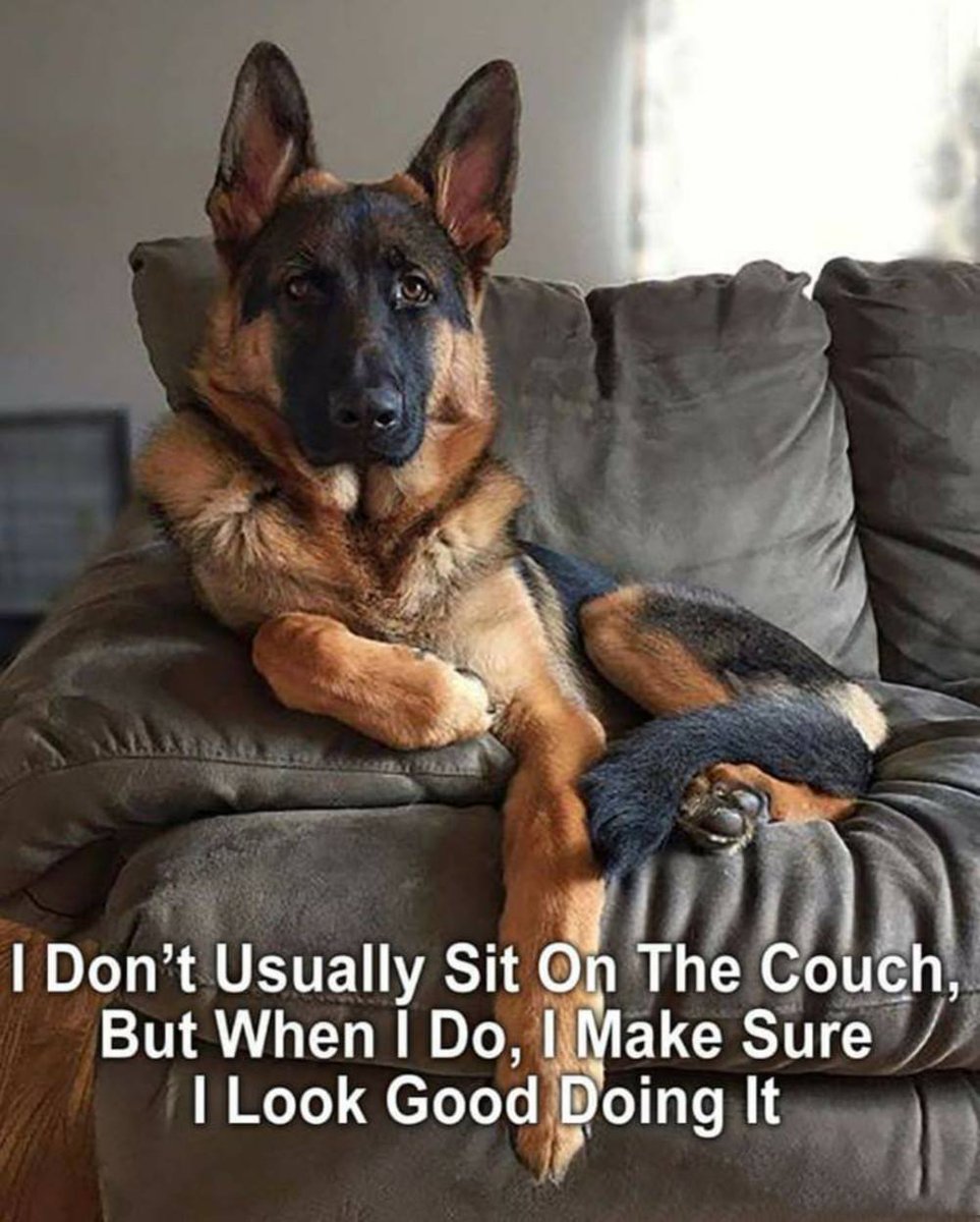 DukeLongstone's tweet image. This is what i do