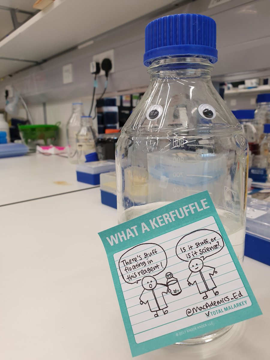MacAdemics_Ed's tweet photo. Overheard in the lab n.7: Science? Or stuff?
#GetScienced #PhDLife #Academia #Science #Labwork #Research
Bottle in photo =/= bottle in doodle 😬
#GooglyEyes #Kerfuffle #TotalMalarkey https://t.co/pkcffKfcvy