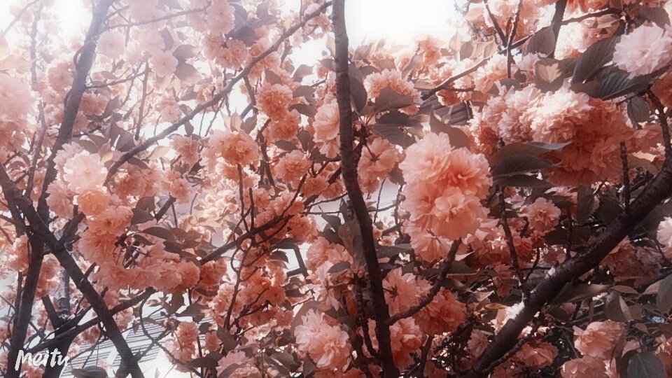 考研中饭量超大 tweet media