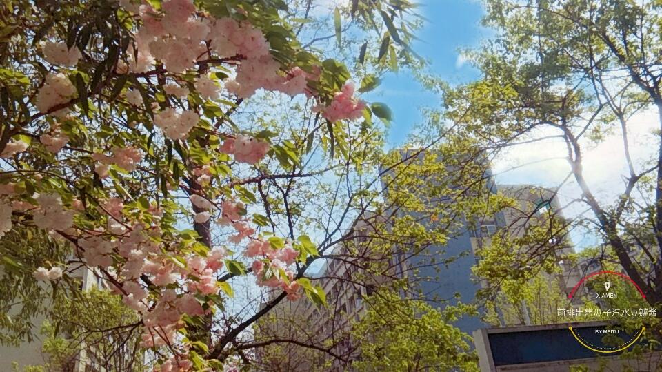 考研中饭量超大 tweet media