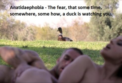 Torben Kaßler tweet media