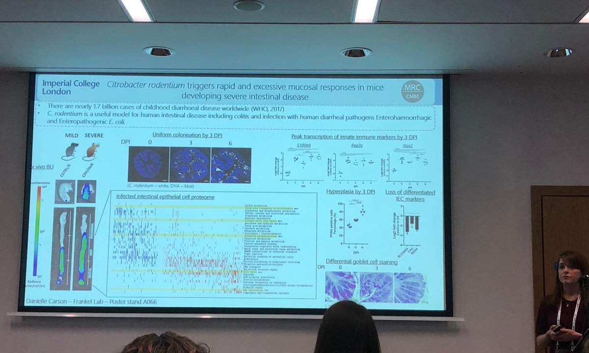 TheFrankelLab's tweet photo. Our PhD student @dcarson114 representing @TheFrankelLab and @CMBI_Imperial at @MicrobioSoc conference. Great flash talk @dcarson114!Find out more at poster A066 #Microbio19 https://t.co/PHtsrufqFF