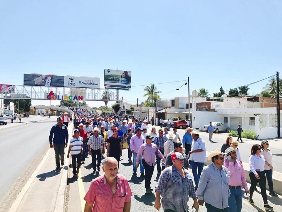 RoxanaRubioVal2's tweet photo. El día de hoy acompañé a los agricultores sinaloenses que se manifestaron por un precio justo para sus cosechas.

#RoxanaRubio #LXIIILegislatura #PartidoAcciónNacional https://t.co/VWwoKWxF9O