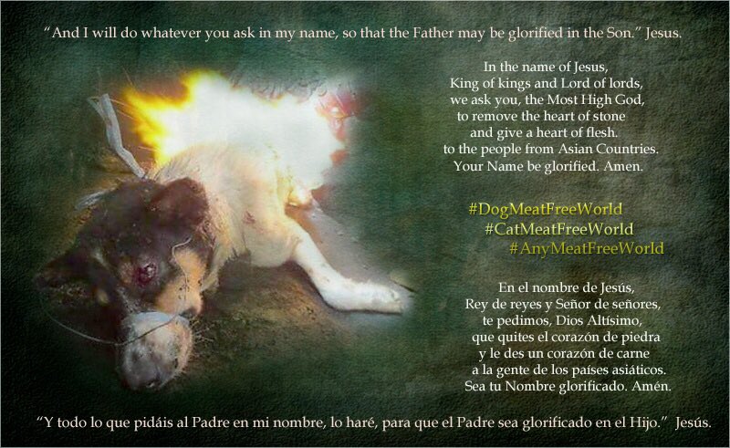girasol2201's tweet photo. @Lanaroske1 @EevaPaavilainen @EU_Commission #StopYulin #StopDMTC #StopBokNal #WorldDogShow2019  #EndCatMeatTrade #BeCrueltyFree
 #EndDogMeatTrade #EndCatMeatTeade #StopTheTorture #ChooseMercyOverCruelty #Motivation #Motivación #DMFI
#DogMeatFreeIndonesia
#DogMeatFreeWorld https://t.co/BVlgZIZYTF