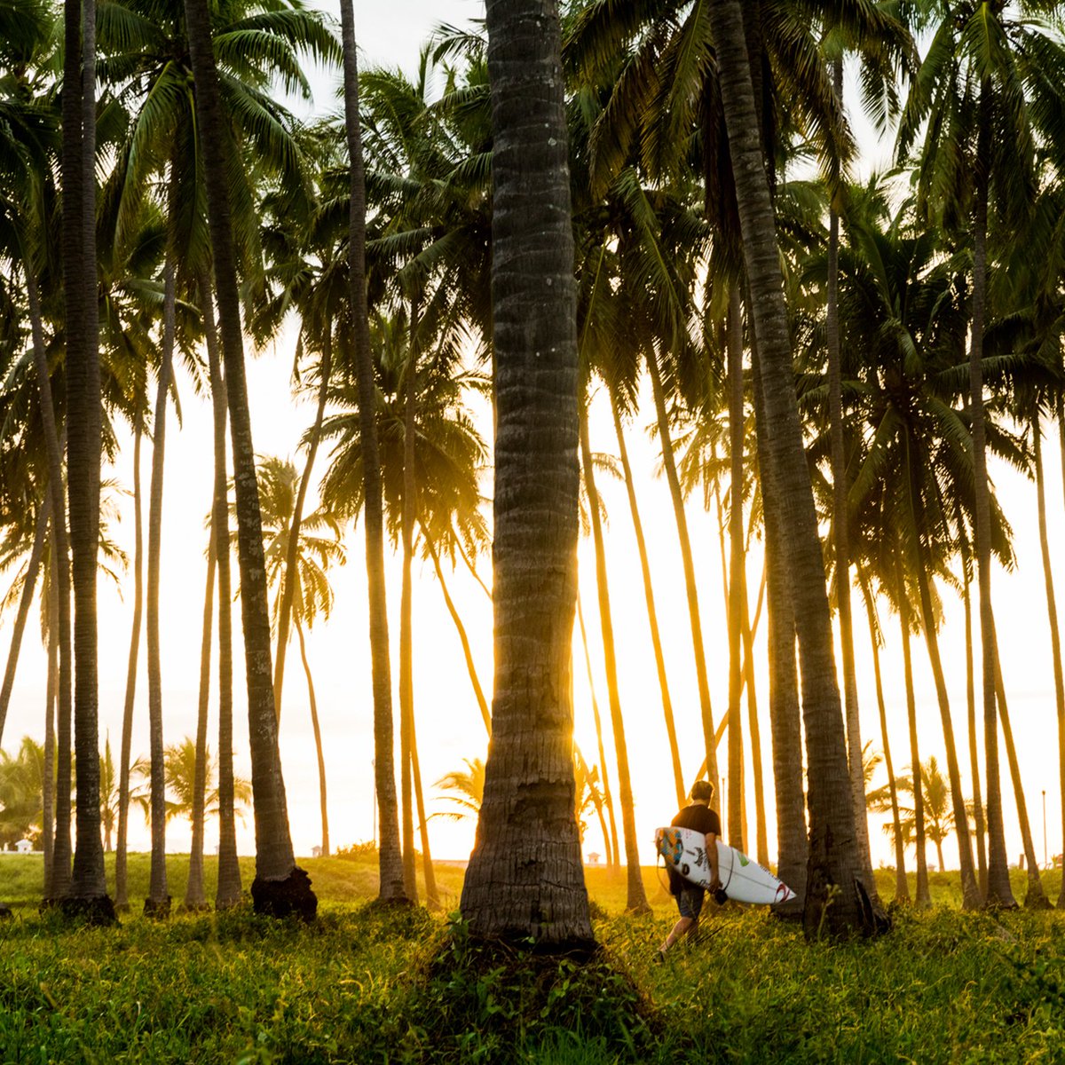 BN3THapparel's tweet photo. Our goal: plant 1000 trees in California over the next 30 days. How to help: For every TENCEL™ Modal product sold on our website in April, 2 trees will be planted. 🌲🌴 Happy shopping! https://t.co/t4YgAthazC #BN3TH #FromTreesForTrees #MakeItFeelRight
—
📷: Marcus Paladino https://t.co/U73XSlOrt8