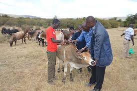 SARRSBeef's tweet photo. Partnerships for sustainable beef production in the region, will strengthen our quest to enhance the capacity of the smallholder farmers to improve income and livelihoods through sustainable beef production @Makera_Cattle  @Solidaridad_SAF @GRSBeef https://t.co/apig8HurYm