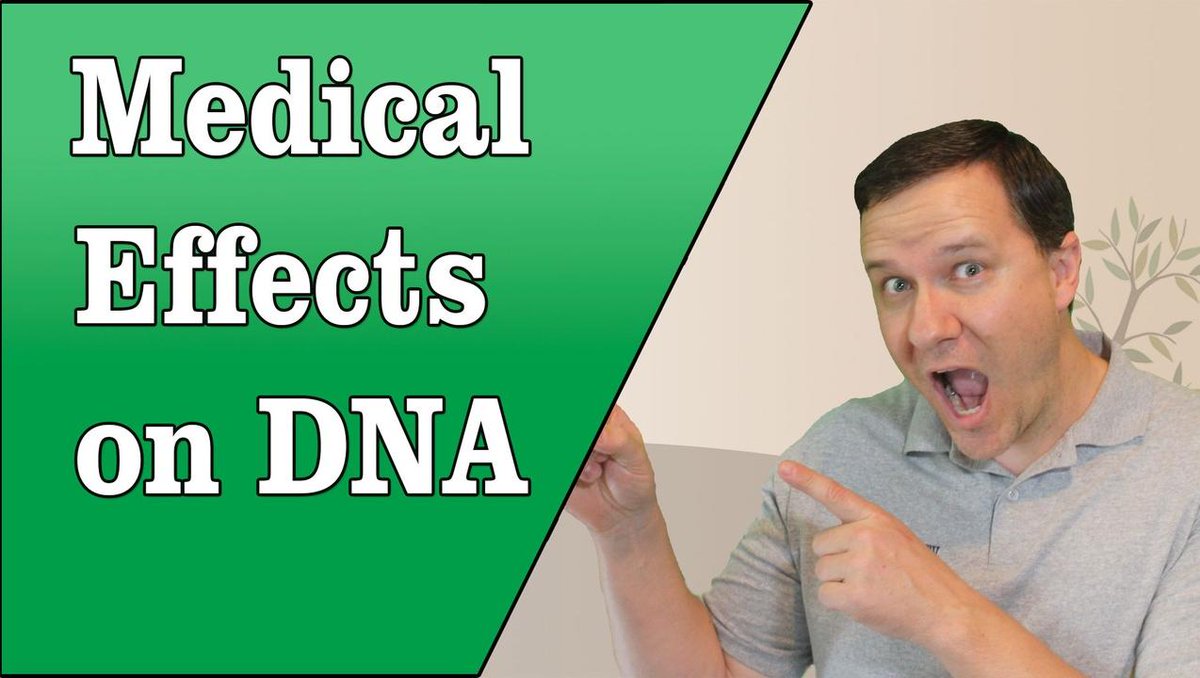 FHFanatics's tweet photo. How do radiation, chemotherapy, and other medical procedures affect your DNA? Andy explains in this video:
https://t.co/IU62kRJD5N
#medicaleffects #dnaresults #genetics https://t.co/4L5o1xbJ4H