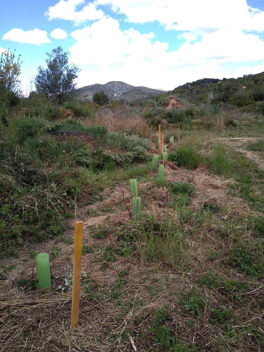 Associació Garraf Coopera tweet media