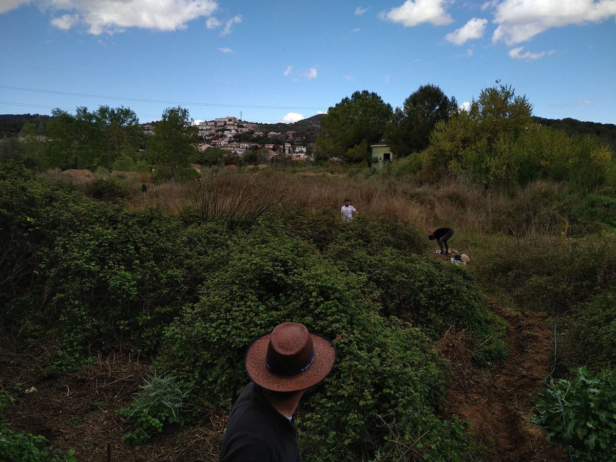 Associació Garraf Coopera tweet media