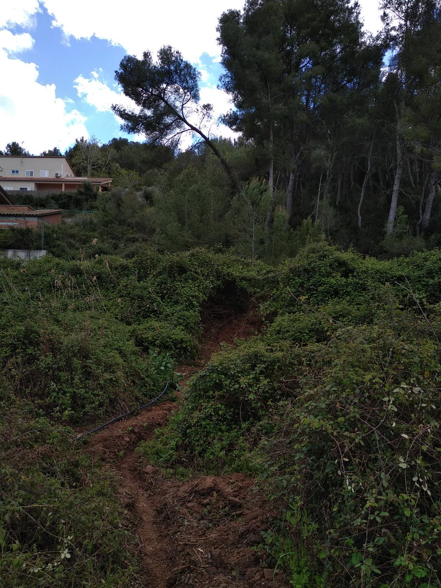 Associació Garraf Coopera tweet media