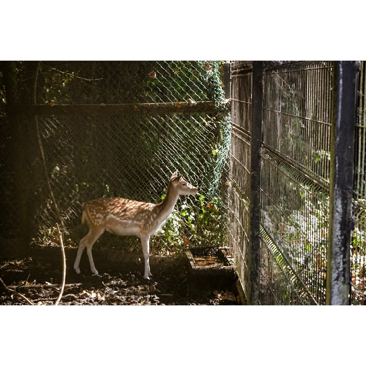 Una fotito de propia autoría <3

#SonyAlpha #sonya7