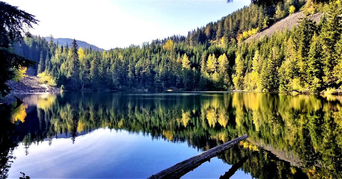 #stillwaters #rundeep, especially when the lake is volcanic crater. #loggerslake #whistler #naturereflections

#photography #photographysouls #earthpix #landscape #landscape #naturephotography #streetphotography #mobilephotography #phonephotography #picoftheday