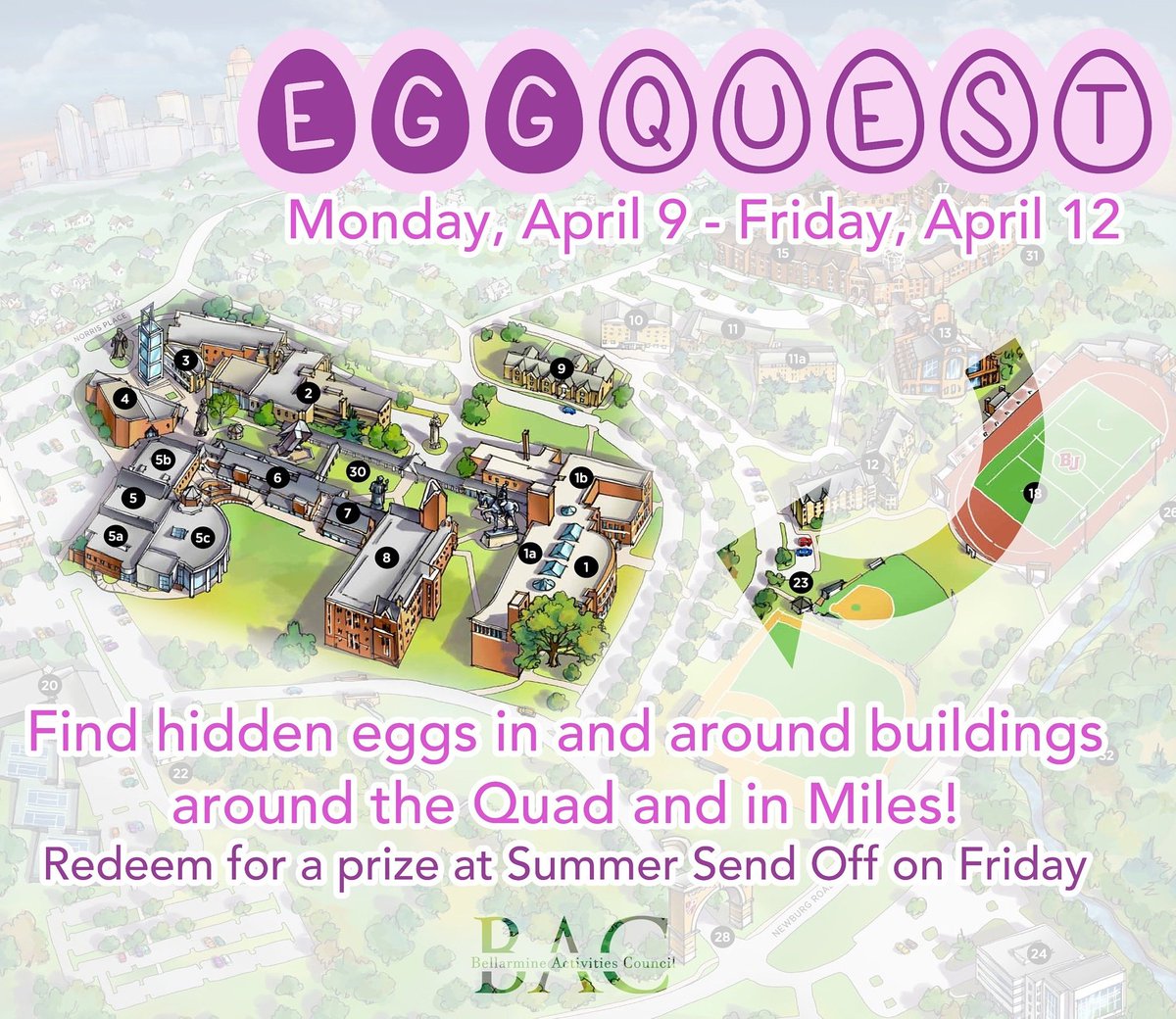 Bellarmine Activities Council tweet media