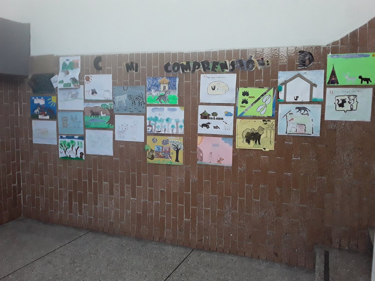 CRAjuanito's tweet photo. Asi luce el pasillo de 3er grado exhibiendo los trabajos de su 5to plan lector artistico: "El tigre negro y el venado blanco" @colegiojuan23 @sedejuanito https://t.co/qiccczR57N