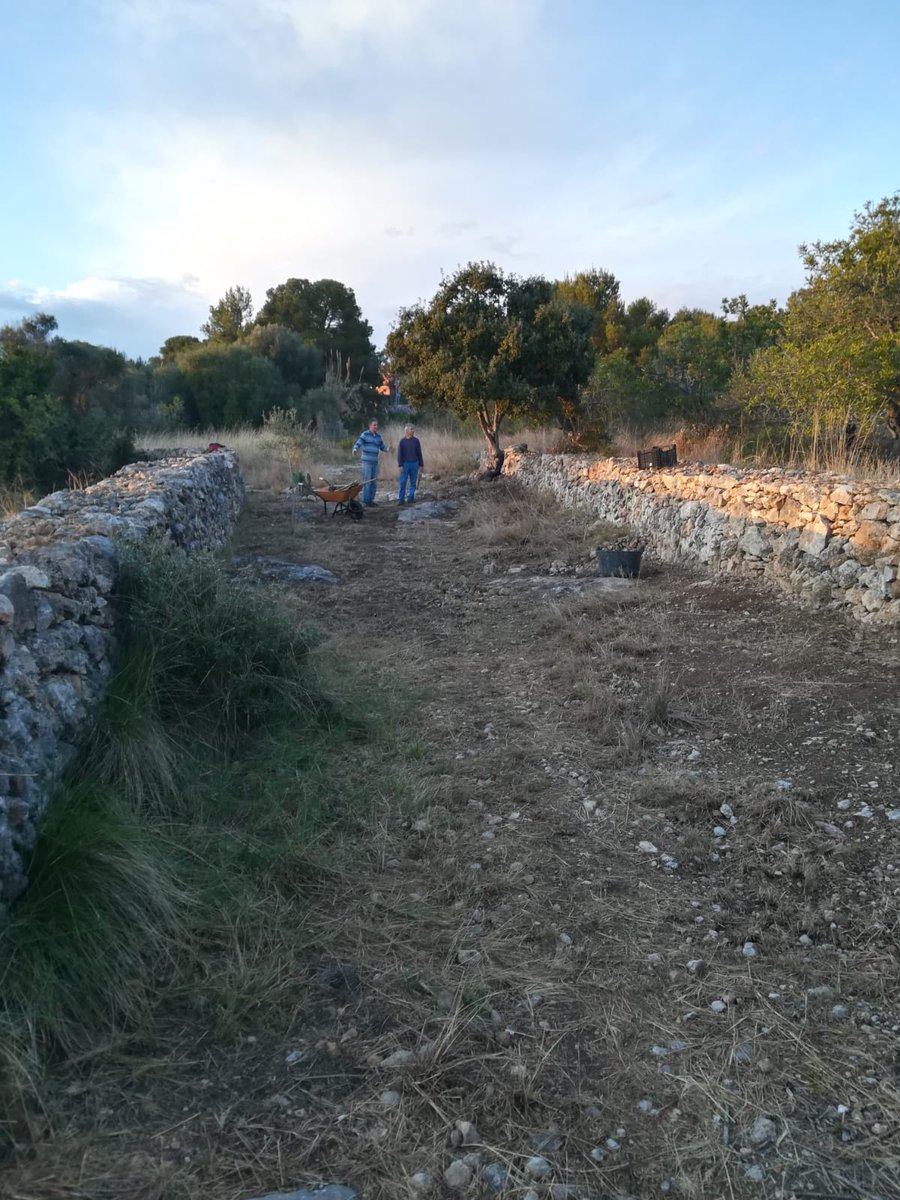 Associació Garraf Coopera tweet media