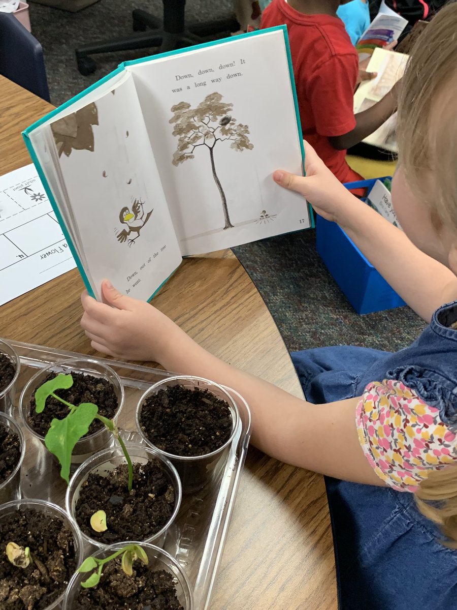 csferguson's tweet photo. Reading to our plants to help them grow!! 📚❤️ https://t.co/sHqtFQOKZ1