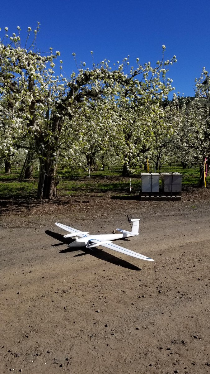 NWTechGeek's tweet image. Those blossoms are out.  How are you tracking your crops? #dronesatwork #vtol #rededge #trinity @quantumdrones @micasense