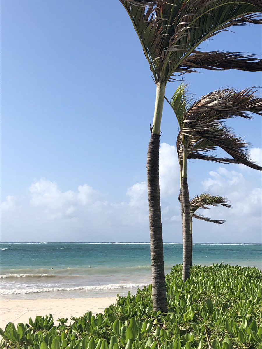 seedcode's tweet image. Me to stranger at the cafe: Excuse me, you here for the #pauseonerror conference?
Him: No, sadly just working on holiday. 
&amp;lt;pause&amp;gt;
Him, wistfully: Nice place for a conference.