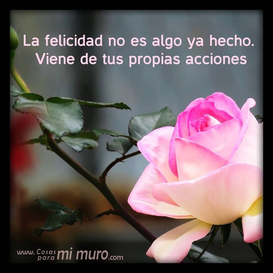 Shoshan on Twitter: "-La felicidad no es algo ya hecho. Viene de ...
