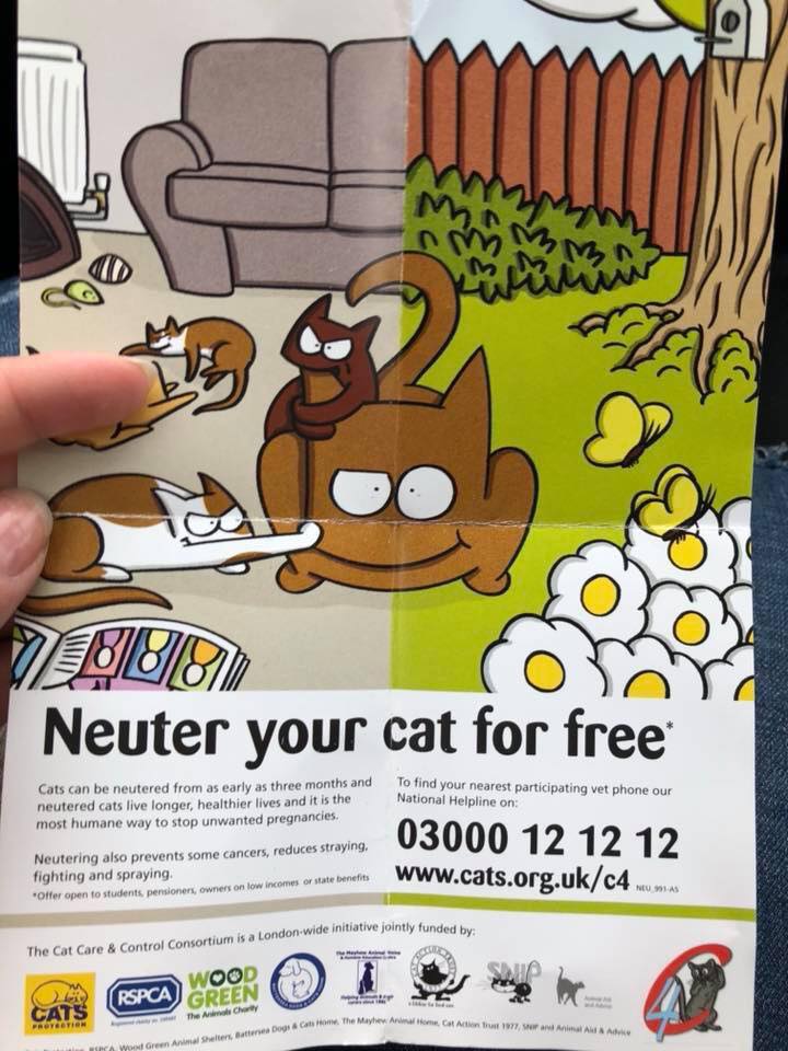 c4 neutering