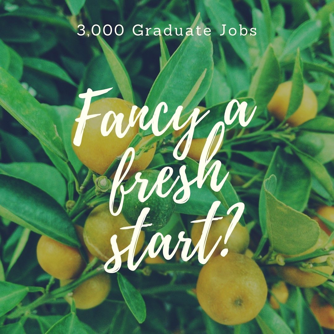 GraduateLinks's tweet photo. See 3,000 Graduate #Jobs at https://t.co/KtKgm8zBko #gradjobs #careers #jobsuk #MondayMotivation https://t.co/6R1ai15Bdl