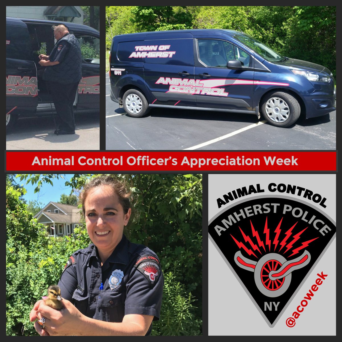 amherstpoliceny's tweet photo. [AMHERST POLICE, NY] -- National Animal Control Officer's (ACO) Week (April 8-14th) #acoweek.  Thanks to our ACO McGrew and ACO Griffin for their dedication to the Town of Amherst. https://t.co/kzS3ohkOli