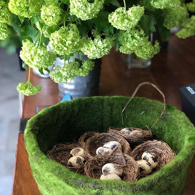 Amazing floral/ cooking class at Natirar yesterday! So proud and thankful to be able to work with such a fun group 💕#natirarcookingschool #natirar #floralclass #floraldesignclass #spring #springflowers #pendryhotels #pendry #lauraclaredesign