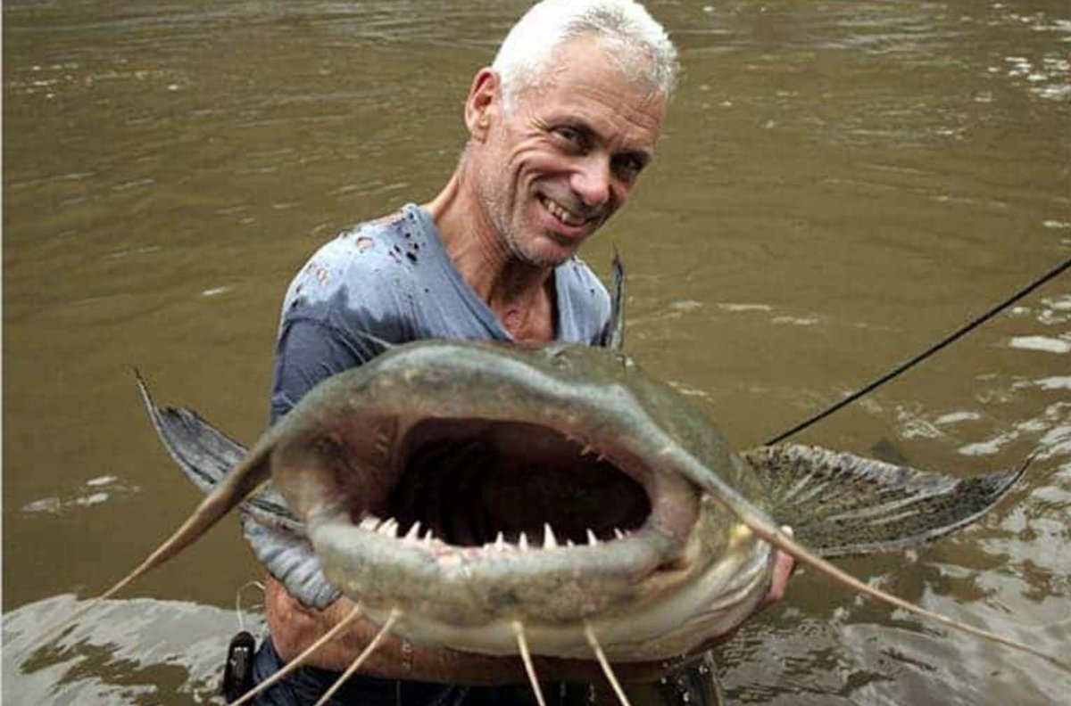 Mells Daffodil Day tweet media