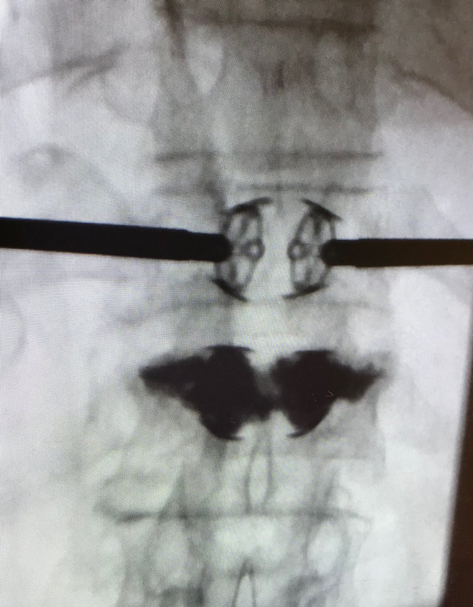 Douglas Beall tweet media